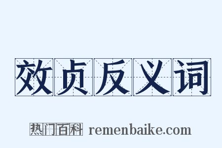效贞反义词是什么意思的图片
